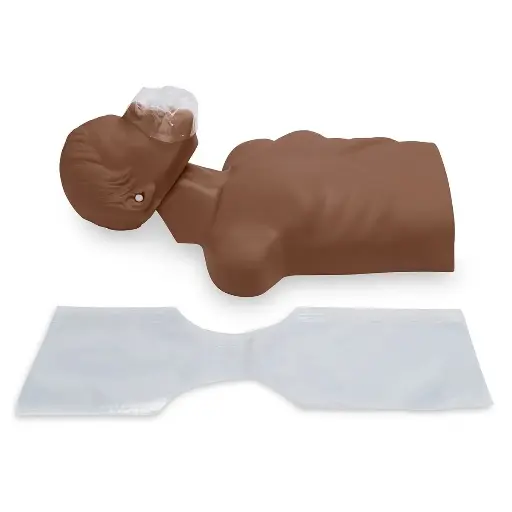 [100-2144B] Economy Adult Sani Manikin Dark