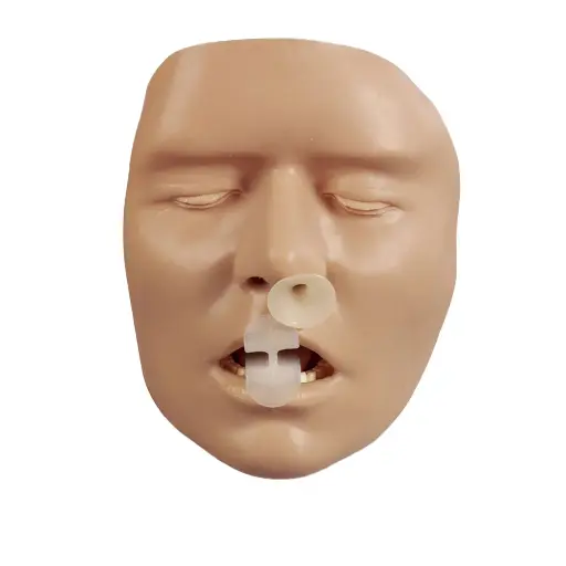 [101-078] BLS Adult Airway Trainer