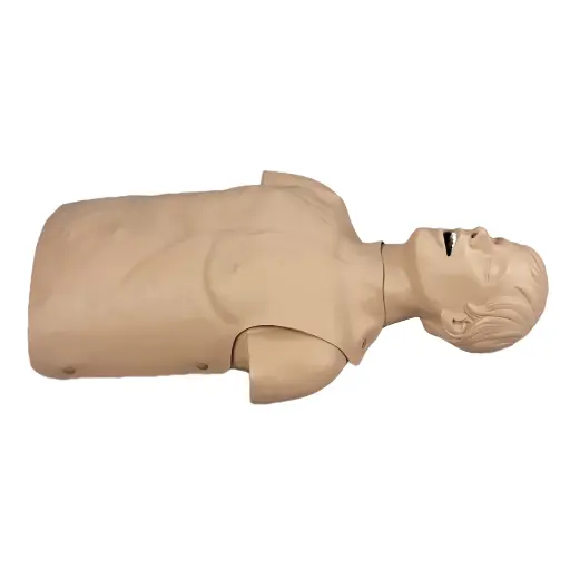 [101-086] Adult Airway Management Trainer Torso (with Carry Bag)