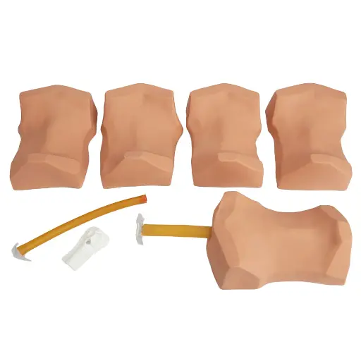 [101-135] Deluxe Cricothyrotomy Simulator (with Overlay Skins x4 & Carry Bag)
