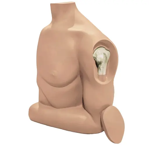 [101-205] Humerus Intaosseous (IO) Trainer