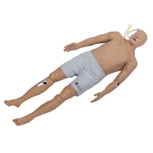 [101-317] Pre-Hospital Trauma Life Support Full Body Trainer