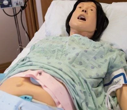 Lucy Maternal/Neonatal Birthing Simulator