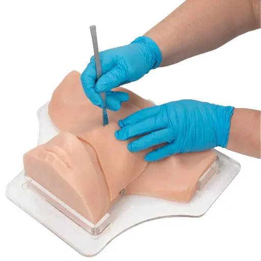 [LF00994] Cricothyrotomy Simulator