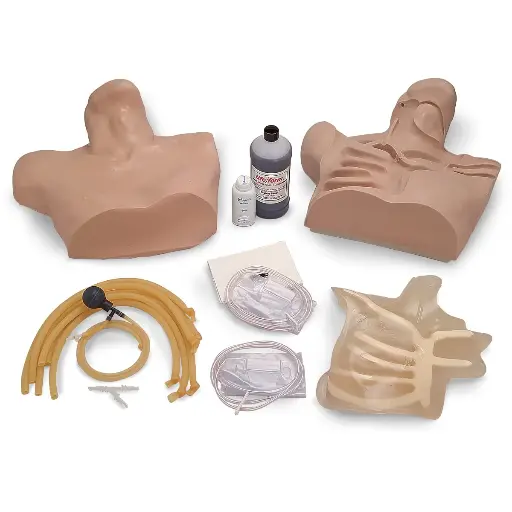 [LF01087] Central Venous Cannulation Simulator