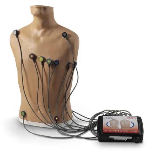 [LF01300] 15-Lead ECG Placement Trainer