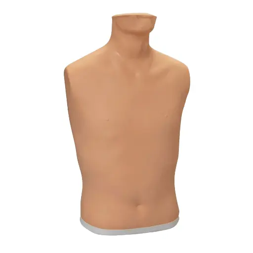 [LF01305] 15-Lead Replacement Torso
