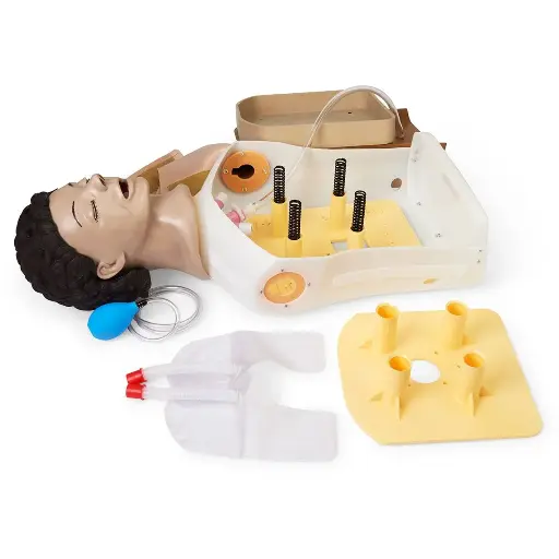 [LF03602] Adult Airway Management Trainer Manikin