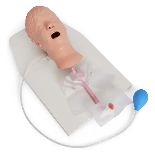 [LF03609] Child Airway Management Trainer (with Stand)