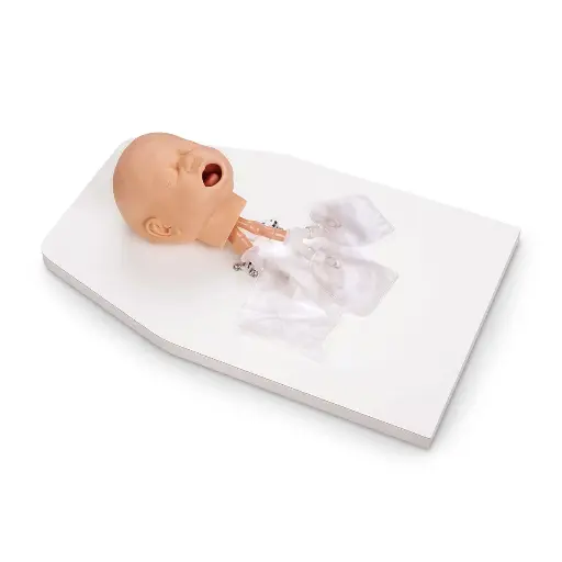 [LF03623] Infant Airway Management Trainer (with Stand)