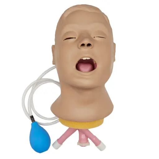 [LF03667] Airway Larry Adult Airway Management Trainer Head