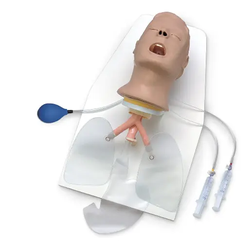 [LF03685] Advanced Airway Larry Trainer Head (with Stand)