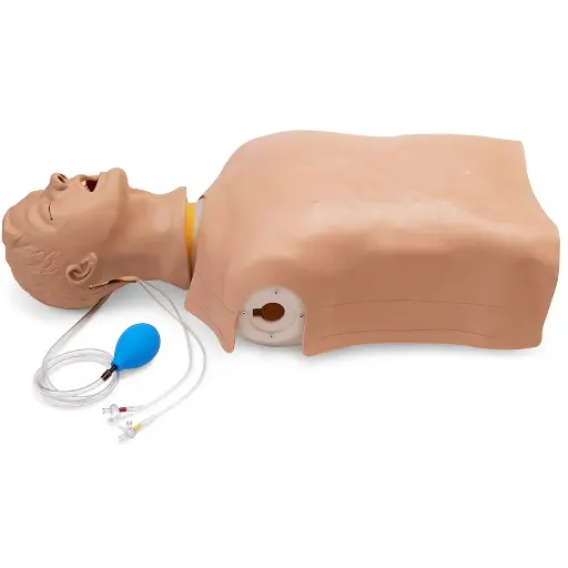 [LF03686] Advanced Airway Larry Airway Management Trainer Torso