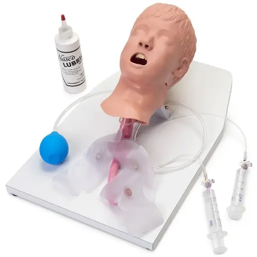 [LF03762] Advanced Child Airway Management Trainer (with Stand)