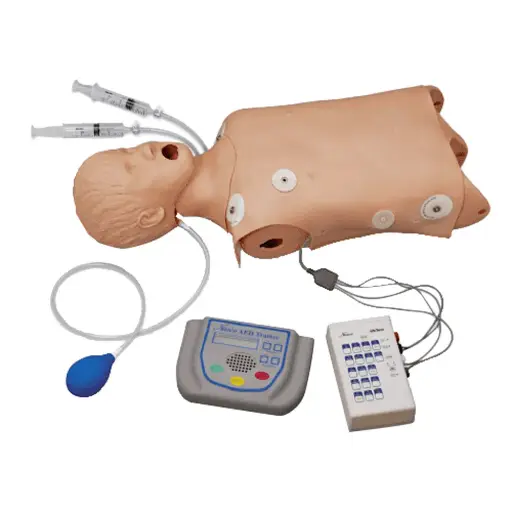 [LF03764] Advanced Child Airway Management Torso