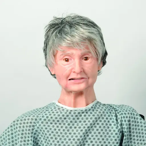 TERi Geriatric Patient Skills/Care Trainer