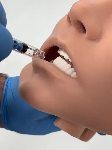 [101-078B] Adult Buccal Injection Trainer